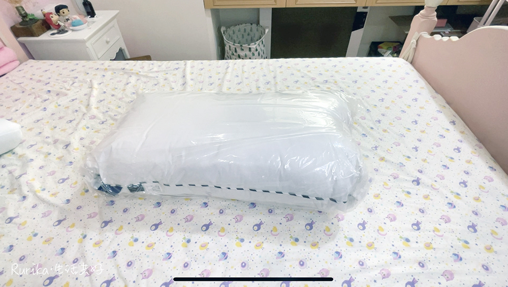ELVIS愛菲斯銀抗菌抑臭防螨雪肌枕11.jpg
